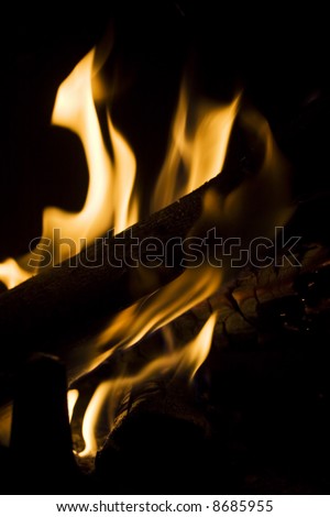 Wood burning in flames in a fireplace.