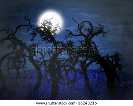 forest trees at night. stock photo : Forest full of