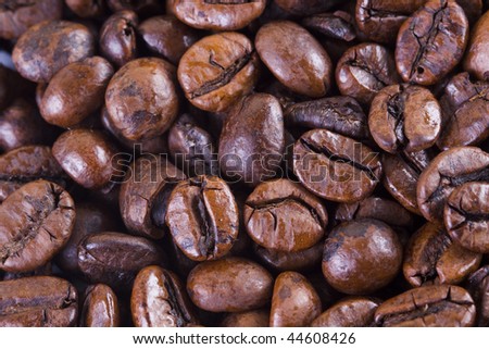 Lots of coffee seeds spilled in a table. Close up image.
