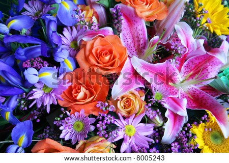 Colorful bouquet of exotic flowers