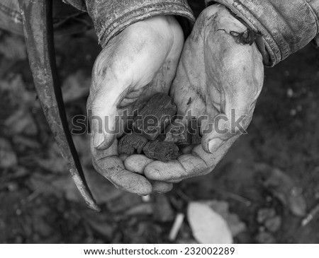 Coal and ashes in the worker\'s hands