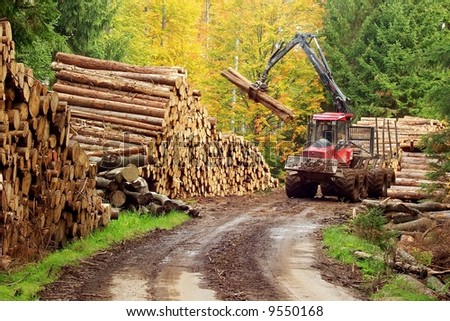 Heavy forest machinery working with logs