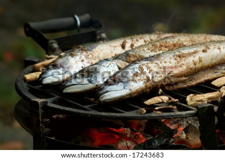 Three spicy fish on the garden grill