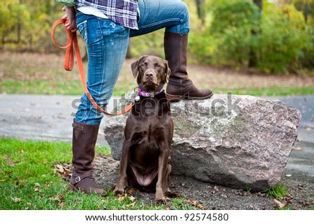 Chocolate Labrador with the legs of a woman wearing jeans and brown boots