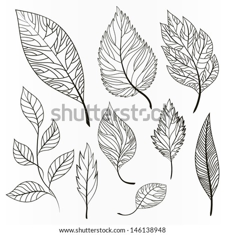 Vector set of leaves, collection of hand-drawn leaves