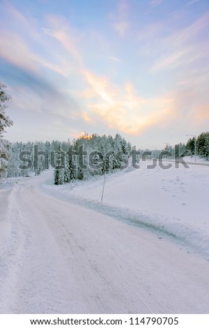 Winter snowy road going to the snow-covered green trees at twilight under a blue sky with clouds at sunset, winter landscape