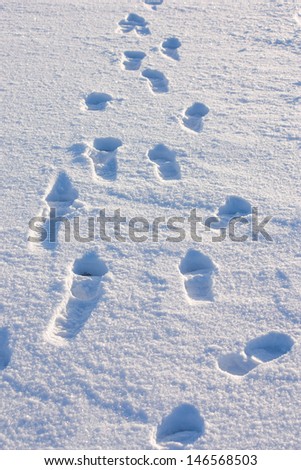 Human footprints in the snow under bright sunlight close-up view
