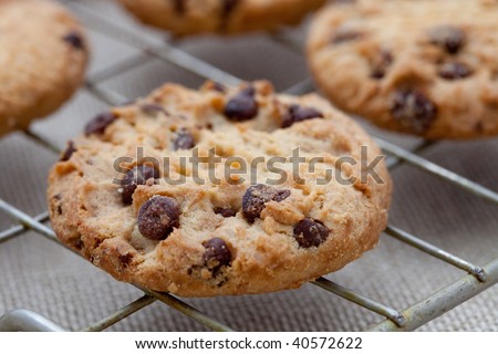 Homemade chocolate chip cookies on a cooling tray
