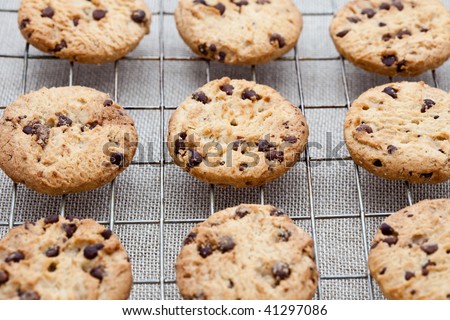 Freshly baked chocolate chip cookies on a cooling tray
