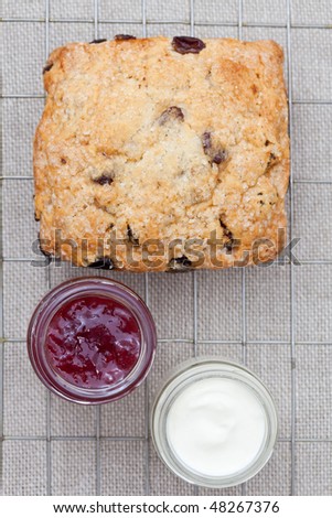 Fresh home baked scone with jam and clotted cream on a cooling tray