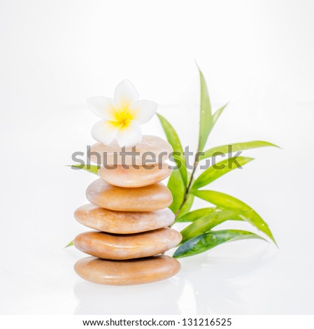 A white plumeria on balanced yellow river stones and a lucky bamboo plant at the background