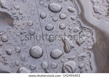Puddle of rain water and raindrops pattern on wooden deck close up. Reflection of beams and wood grain can be seen through the rain water.