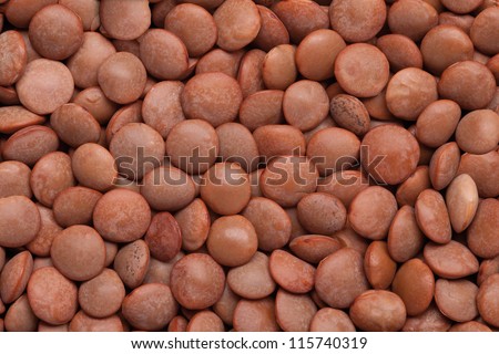 closeup of lentil seed, brown grain food texture