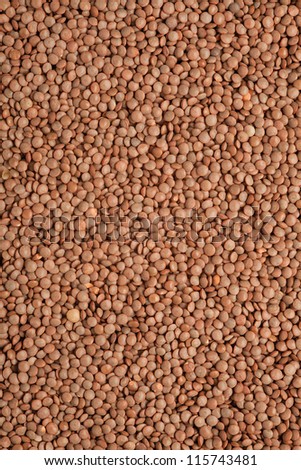 lentil seed background, brown grain food texture