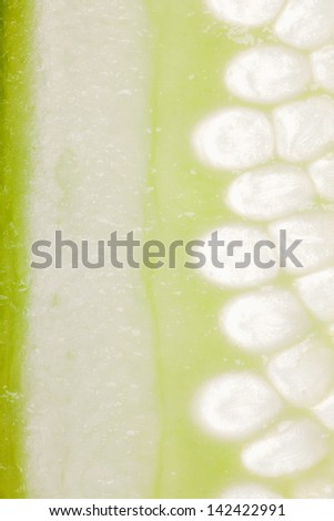 slice of green cucumber background or organic food texture