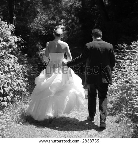 Bridal couple from behind in the nature. Very romantic. Monochrome and square-format.