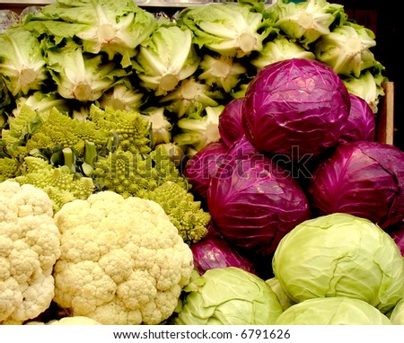 Cabbage Family
