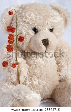 Soft toy the bear  with a red winter berry on a white background