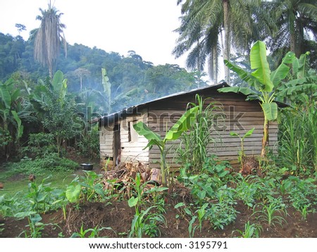 Farmer house in the tropical jungle - Cameroon - Africa.