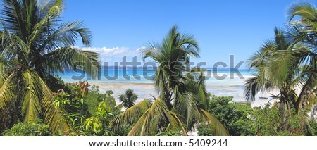 Sand bank and palm trees - Nosy Iranja - Nosy Be island - Panoramique - Madagascar.