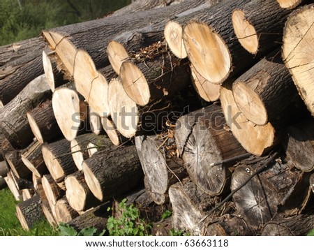Detail of wood logs from the Champs sur Marne castle - France.