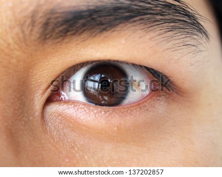 closeups picture of brown eyes from a woman