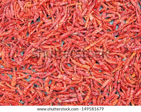 Lot of dried chili as a food background