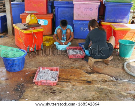 CHUMPHON, THAILAND - SEPTEMBER 22: people clean the squid washed to prepare to take to the sun on 22 September 2012 in Chumphon Thailand.