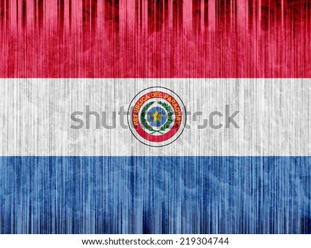 Paraguay flag paper texture