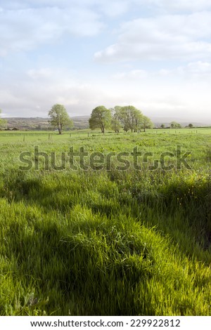 green lush farmland fields and countryside of county Kerry Ireland