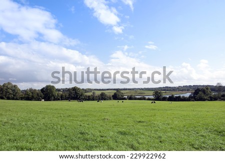 green lush farmland fields and countryside of county Longford Ireland