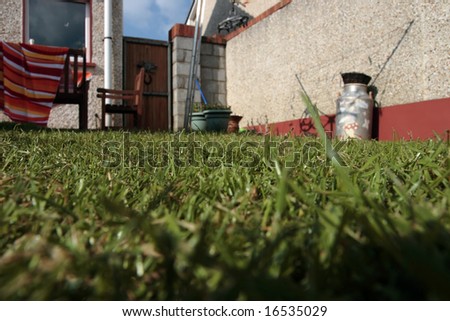 the grass in the backyard of a council estate garden