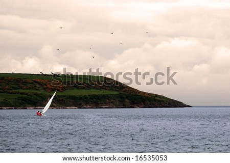 a yacht sailing towards a storm with seagulls flying above them