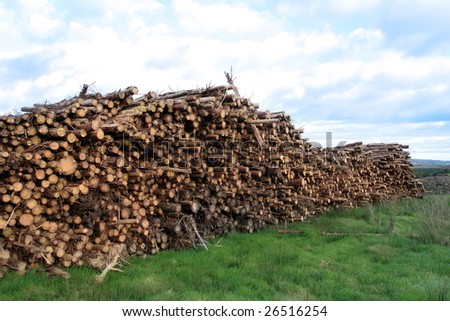 stacked timber ready for production against a cloudy sky