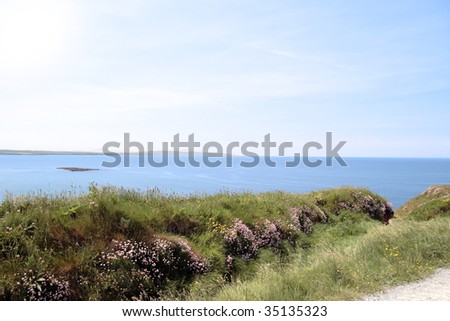 a view on a cliff path walk in the west of ireland