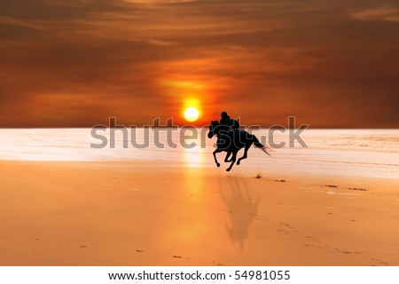 each at sunset in horses running on the beach at sunset. each at sunset in