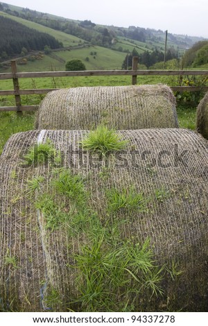 old round bales in lush irish countryside landscape at glenough county tipperary ireland