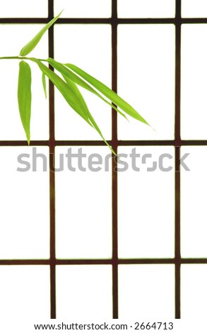 Bamboo Leaves and Rice Paper Background