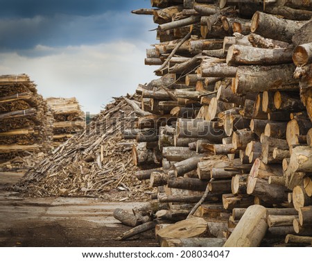 Log and wood piles in industrial timber factory.