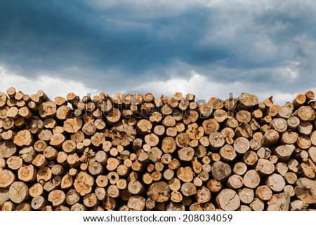 Log and wood piles in industrial timber factory.