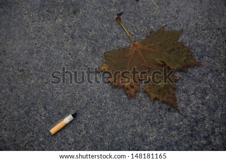 The maple leaf and the butt of cigarette trash on wet floor