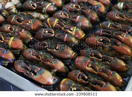 Crabs in fresh market