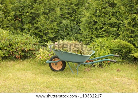 Wheelbarrow full of garden weeds