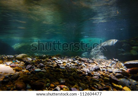 Underwater photography series    Namesawa Valleys. This image was taken by underwater SLR in Fuji Hakone Izu National Park, Japan.