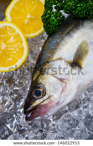 Cooking ingredient series    Japanese sea bass. for adv etc. of restaurant,grocery,and others.