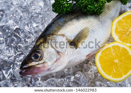 Cooking ingredient series    Japanese sea bass. for adv etc. of restaurant,grocery,and others.
