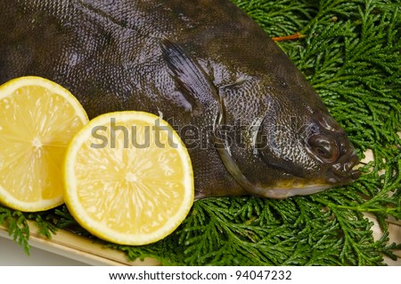 Cooking ingredient series    flatfish. for adv etc. of restaurant,grocery,and others.