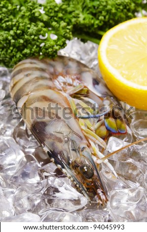 Cooking ingredient series    kuruma prawn. for adv etc. of restaurant,grocery,and others.