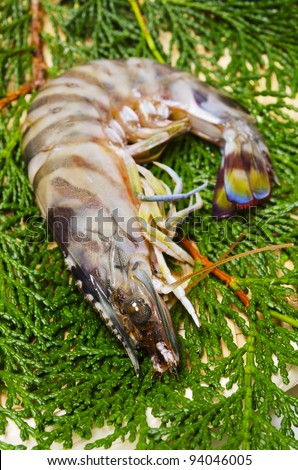 Cooking ingredient series    kuruma prawn. for adv etc. of restaurant,grocery,and others.