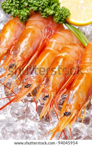 Cooking ingredient series    argentine red shrimp. for adv etc. of restaurant,grocery,and others.